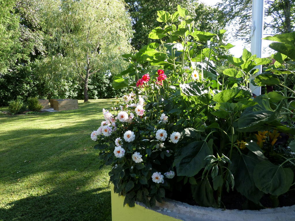 Skogis Bed&Breakfast Katrineholm Exterior foto