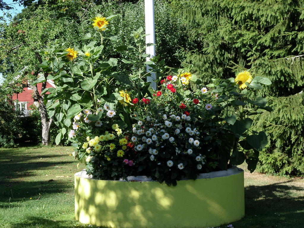 Skogis Bed&Breakfast Katrineholm Exterior foto